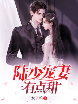 陆少宠妻有点甜小说