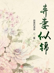 弃妻似锦小说全文阅读