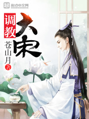 调教大宋笔趣