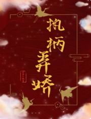执柄弄娇小说TXT百度网盘资源