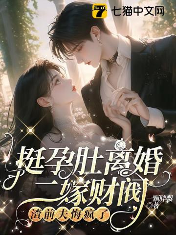 挺孕肚离婚二嫁财阀，渣前夫悔疯了