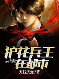 护花兵王在都市笔趣阁秦胜