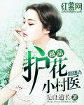 极品护花小村医无良道长