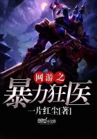 网游之暴力狂医大概内容