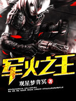 军火之王电影免费观看